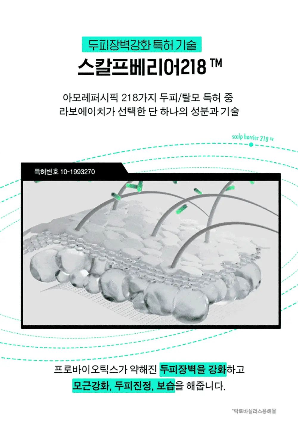 [청량감MAX]] 라보에이치 쿨링&노세범샴푸 750ML 기획(+샴푸100ML) 상세페이지 8